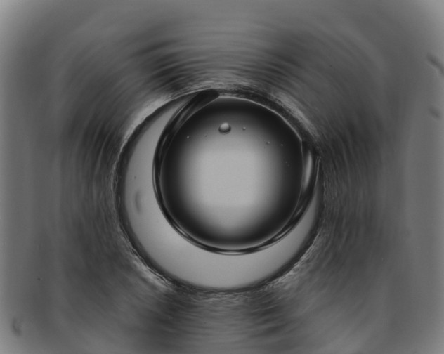 X0000091731026200708311157