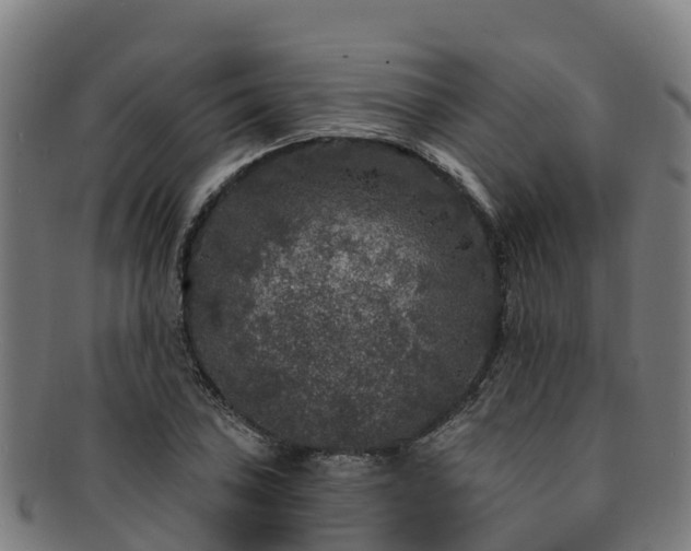 X0000091731027200708311157