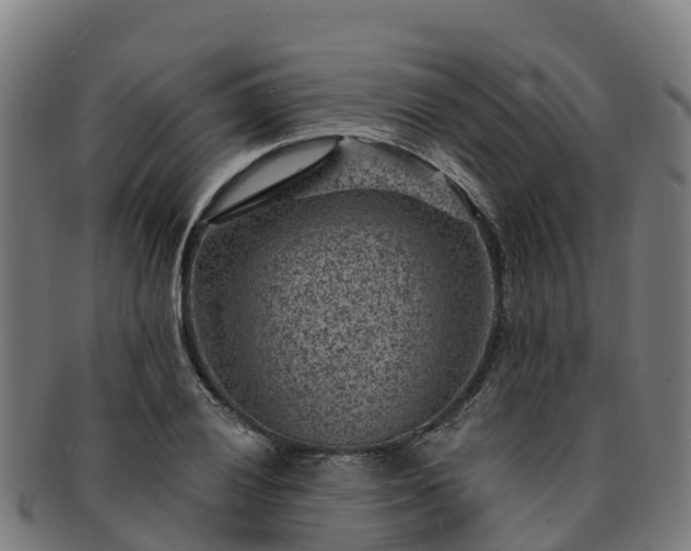 X0000091731028200708311157