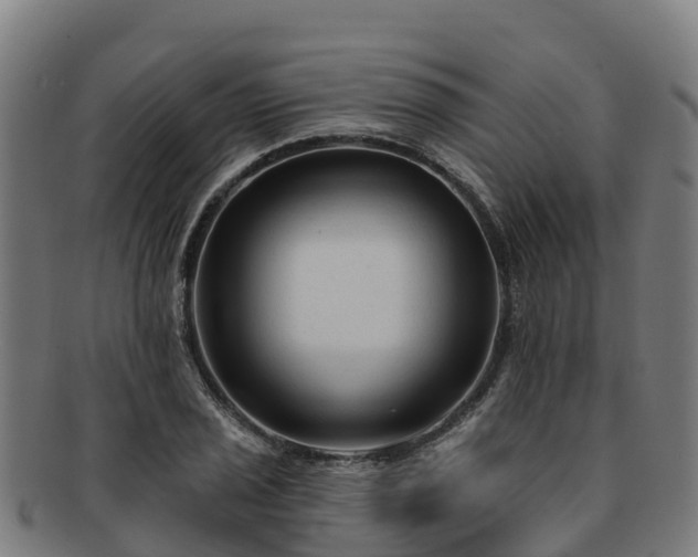 X0000091731029200708311157