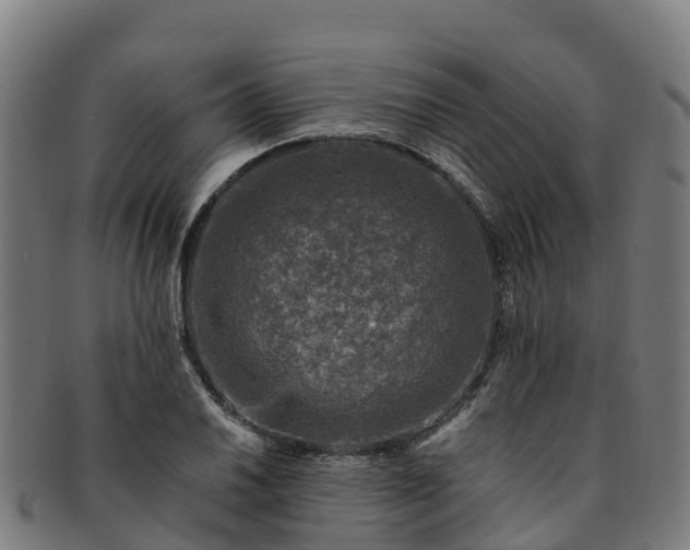 X0000091731030200708311157