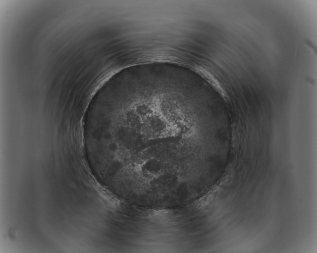 X0000091731031200708311157