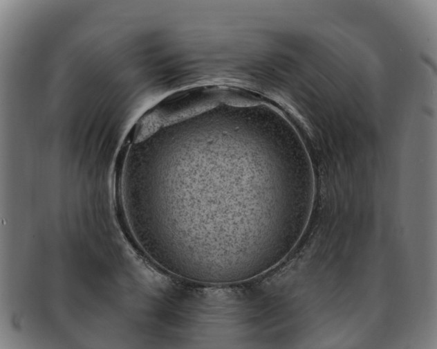 X0000091731032200708311157