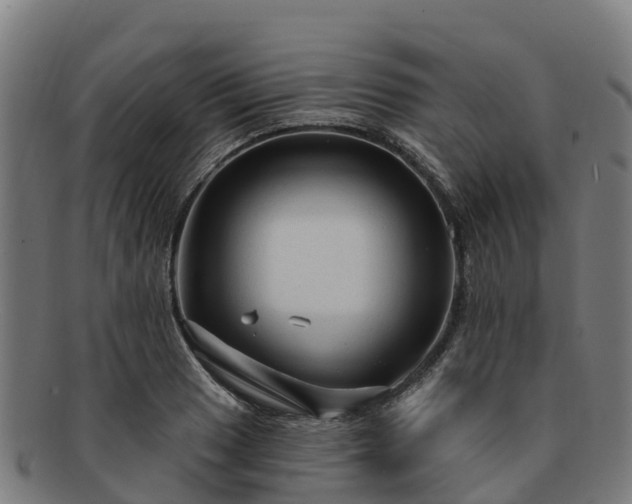X0000091731033200708311157