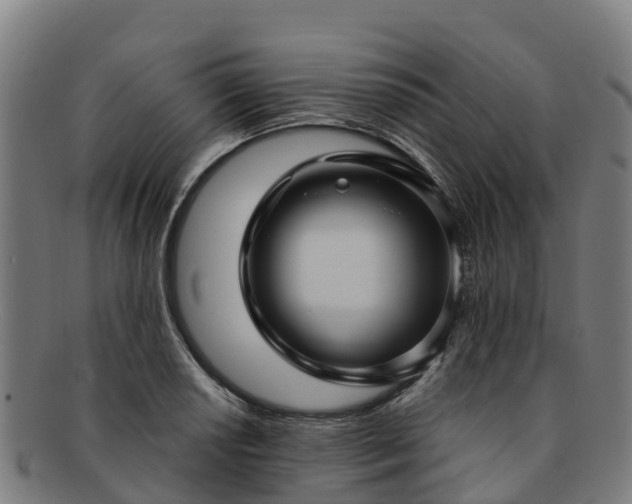 X0000091731034200708311157