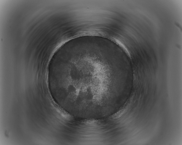 X0000091731035200708311157