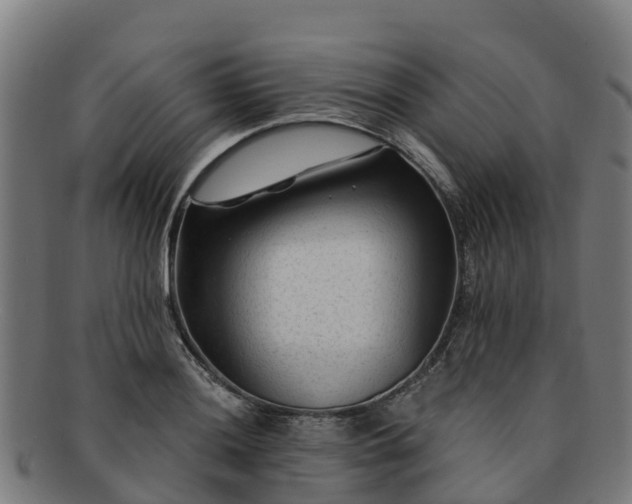 X0000091731036200708311157