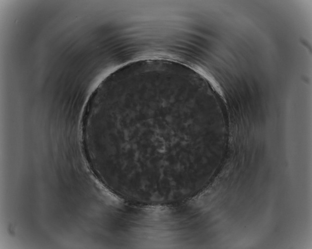 X0000091731037200708311157