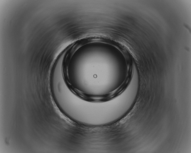 X0000091731038200708311157