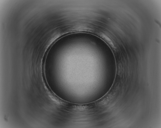 X0000091731039200708311157