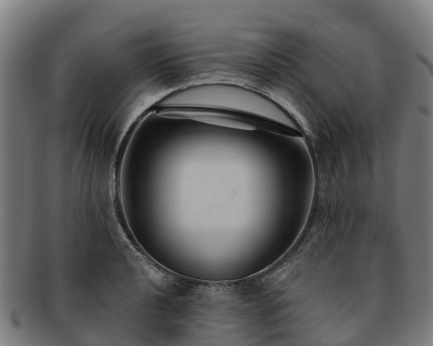 X0000091731040200708311157