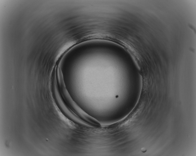X0000091731042200708311157