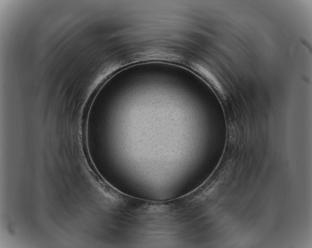 X0000091731043200708311157