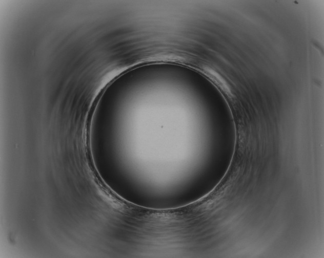 X0000091731044200708311157