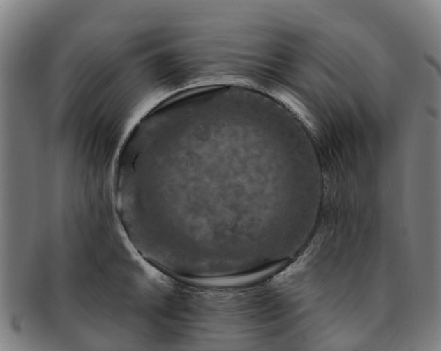 X0000091731046200708311157