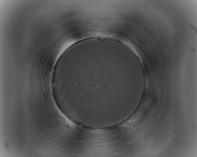 X0000091731048200708311157