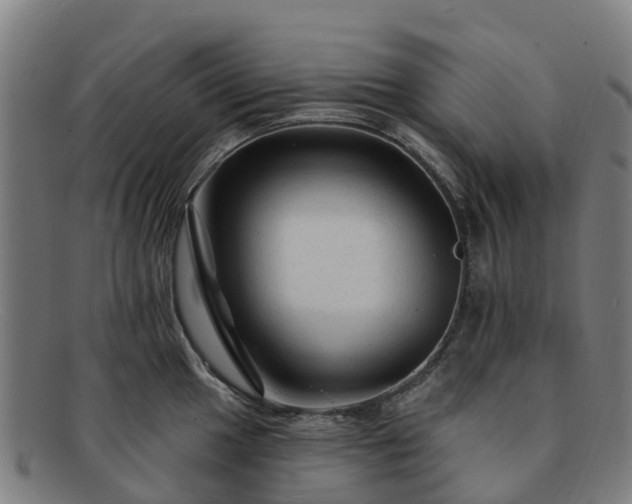X0000091731049200708311157