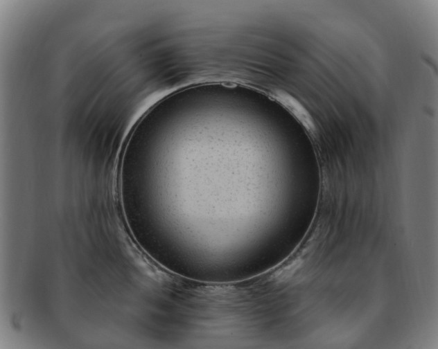 X0000091731052200708311157