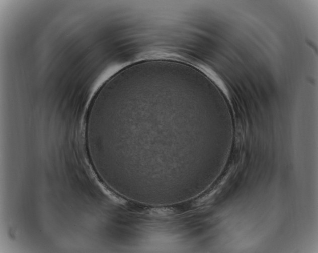 X0000091731053200708311157