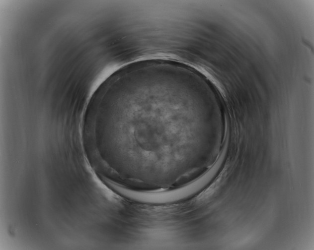X0000091731054200708311157
