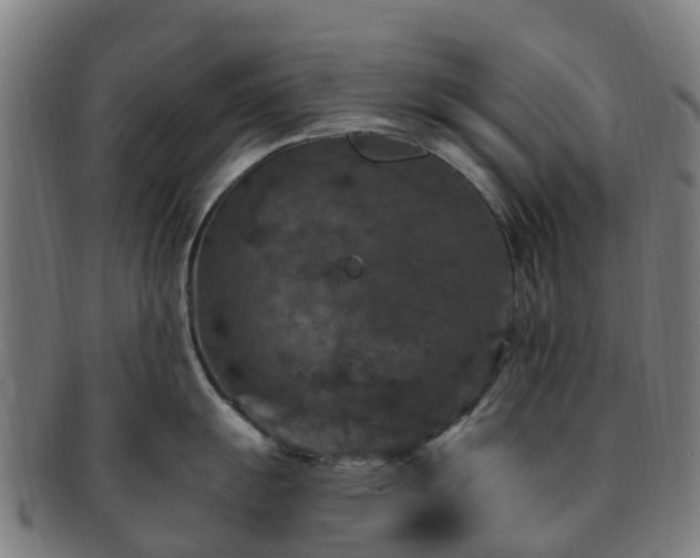 X0000091731055200708311157