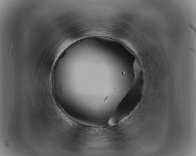 X0000091731056200708311157