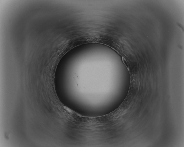X0000091731057200708311156