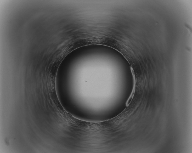 X0000091731058200708311156