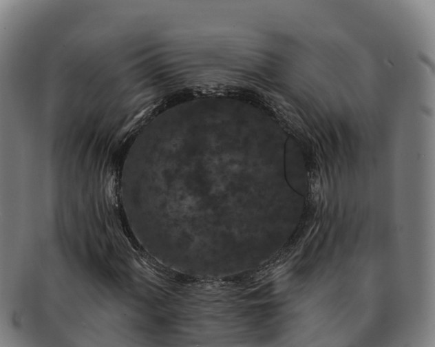 X0000091731060200708311156