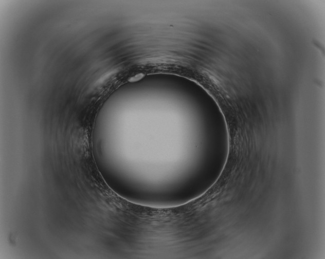 X0000091731062200708311156