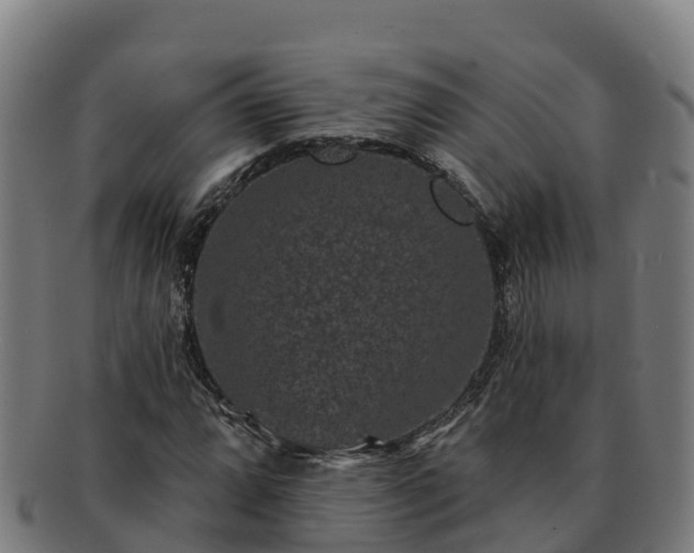 X0000091731064200708311156