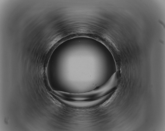 X0000091731065200708311156