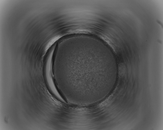 X0000091731066200708311156