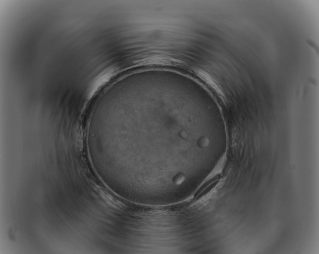 X0000091731067200708311156