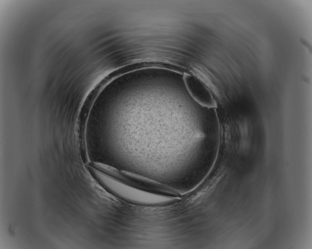 X0000091731068200708311156