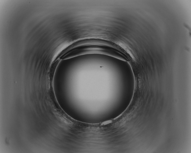 X0000091731069200708311156