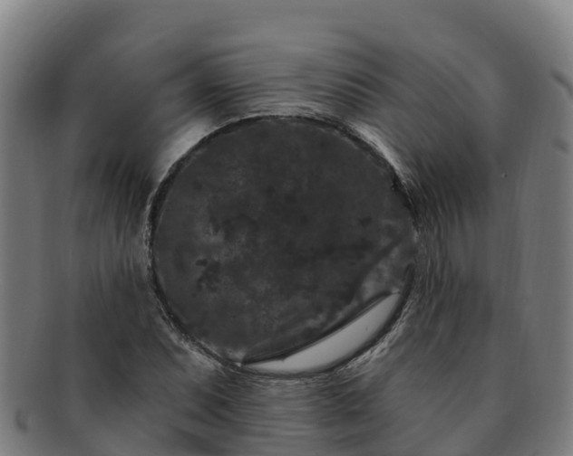 X0000091731071200708311156