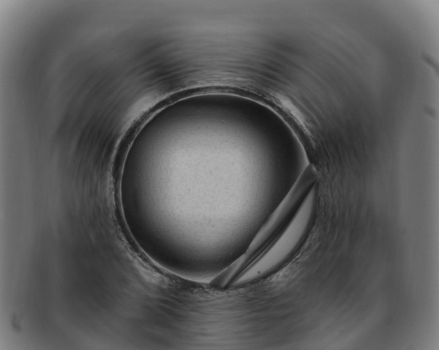 X0000091731072200708311156