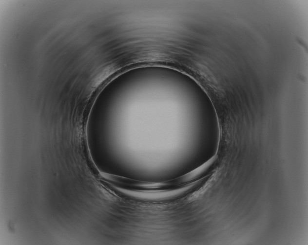 X0000091731073200708311156