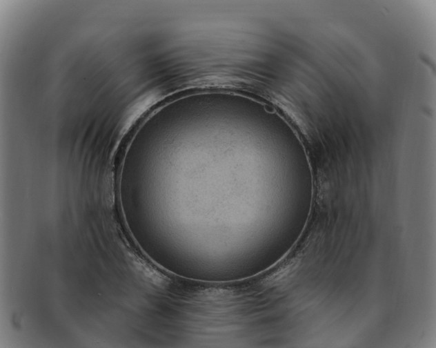 X0000091731075200708311156