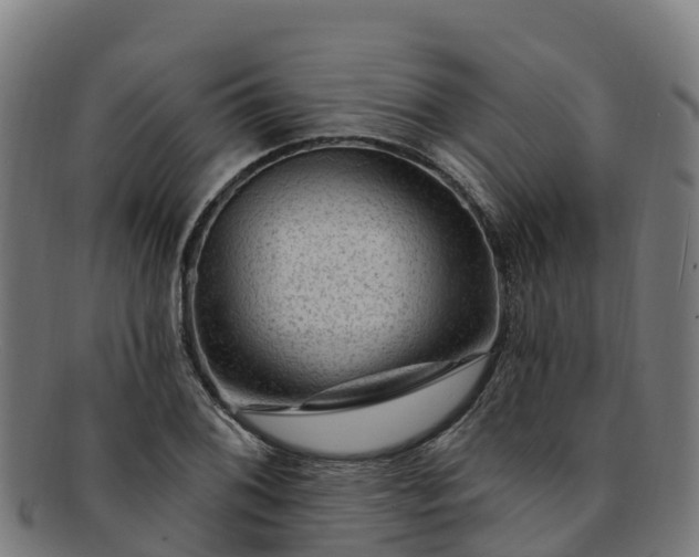 X0000091731076200708311156