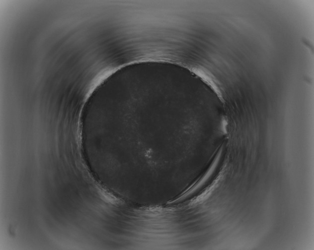 X0000091731077200708311156