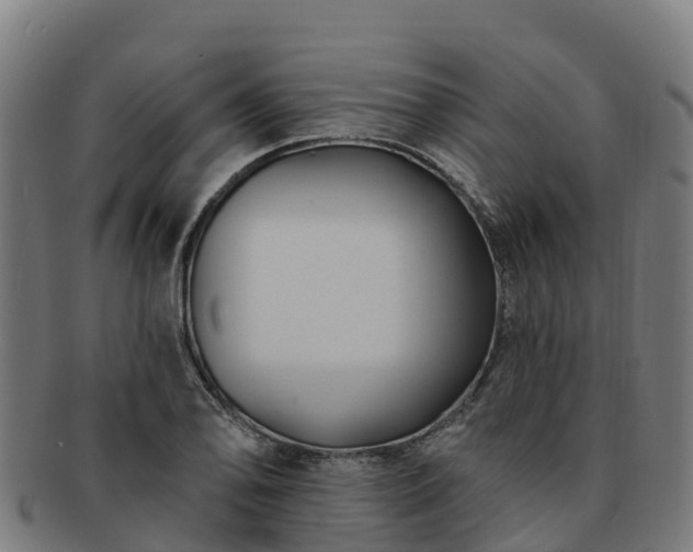 X0000091731078200708311156