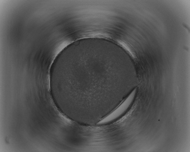 X0000091731079200708311156