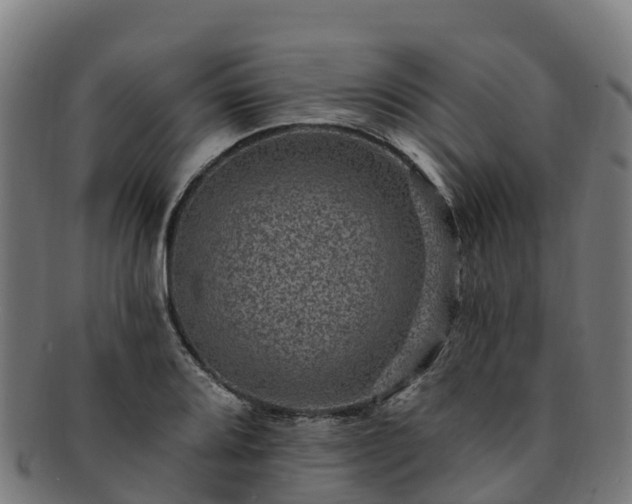 X0000091731080200708311156
