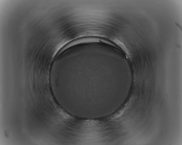 X0000091731081200708311156