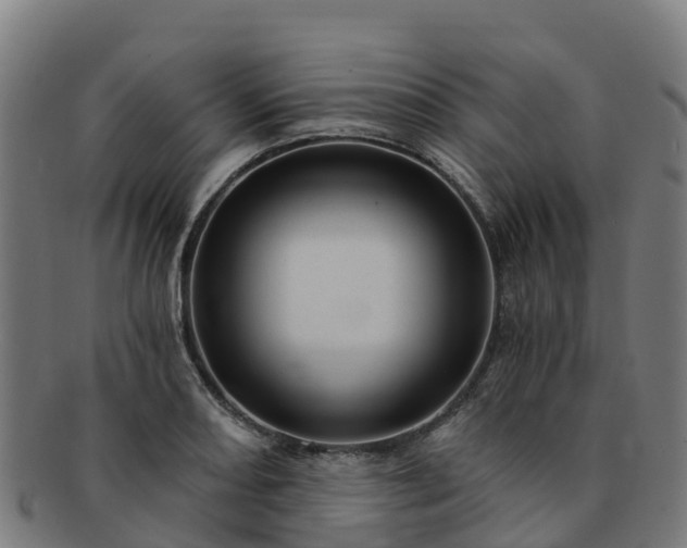 X0000091731082200708311156
