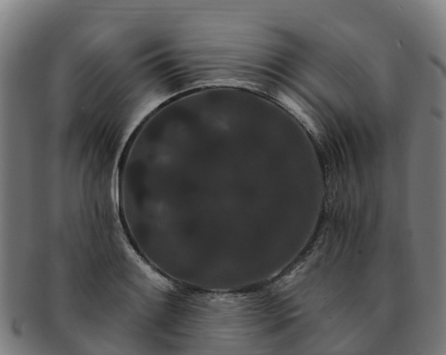 X0000091731084200708311156