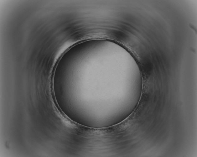 X0000091731086200708311156