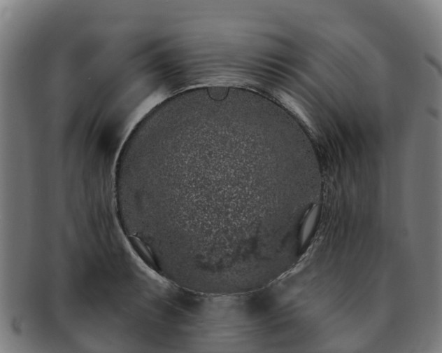 X0000091731087200708311156